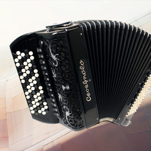 Cavagnolo nouveau Vedette 10 SK