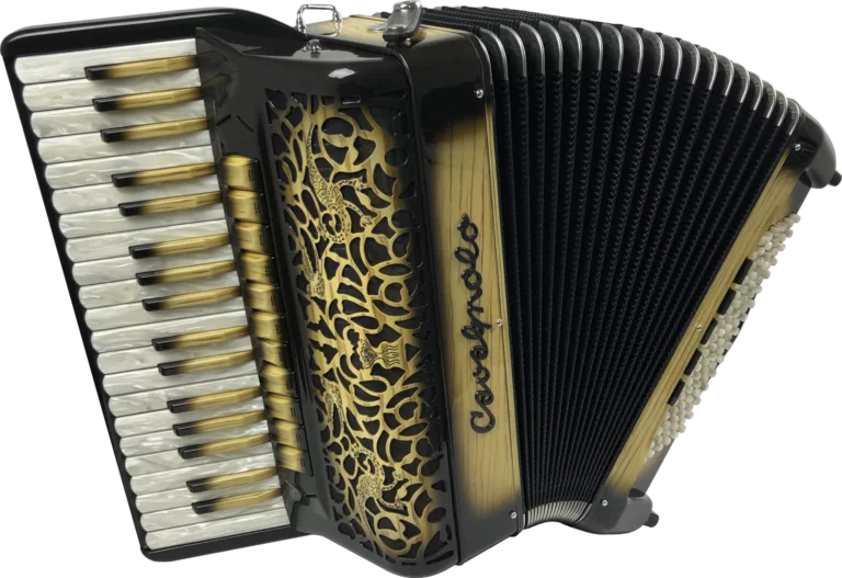 Export 10 Compact
