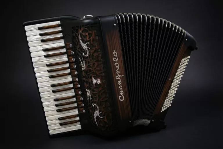 Export Plus Compact